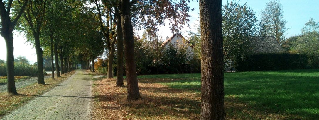 Op zoek naar godin Sandraudiga